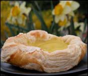 Bakery Bear photograph of a fruit tart pastry or lemon danish.